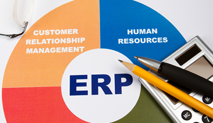 Enterprise Software Solutions